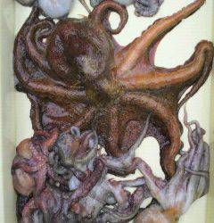 沖一文字スリット、午前中にタコ10杯・2.8kg