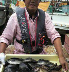 沖一文字北、グレ・ガシラ大漁でした♪