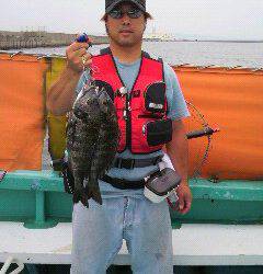 沖一文字スリットで落とし込み、良型チヌ2枚