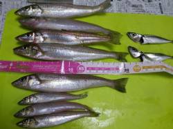 神戸空港　SLエアーシンカーでキス〜21c…