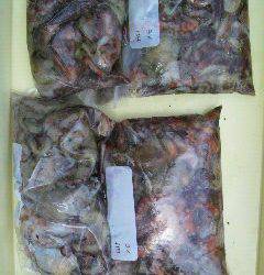 岸和田一文字　タコの数釣り楽しめますよ！