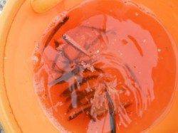 イワシ釣れてます♪鳴尾海釣り広場ＲＴ