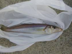 神戸港の各ポイント！ 