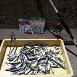 アジュール舞子！アジ、イワシ大爆釣！