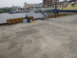 北公園でセイゴ、空港でメバル