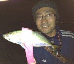 穴場です!『アジングin和田防』