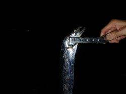 夜の兵突タチウオ情報！