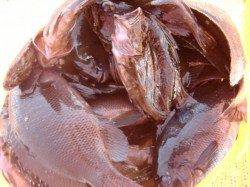 【今日もいいぞ!!】南芦屋浜リアルタイム