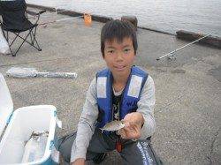 豆アジの時合は明け方に☆泉大津RT23日・朝