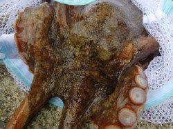 北公園ＲＴ　ハネ強烈　タコ急激に・・・