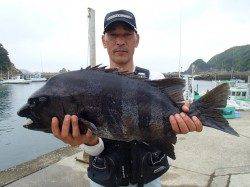 イシダイ60ｃｍオーバー2枚！！