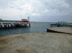 ★好釣☆豆アジ★　小サバやタコも！