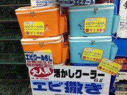 【エビ撒きで巨チヌ】芦屋のチヌ情報
