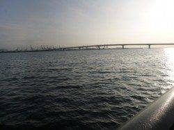 神戸港の各ポイント！