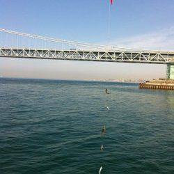 アジュール舞子！アジ、イワシ大爆釣！