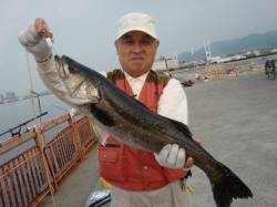 【大物・小物】南芦屋浜リアルタイム 