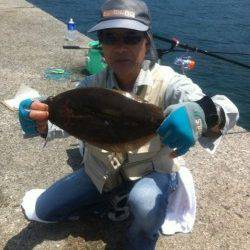 ノマセでヒラメだ！加太8日RT