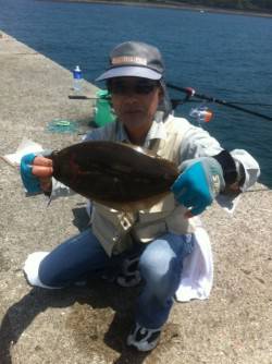  ノマセでヒラメだ！加太8日RT 