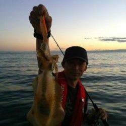 泉南エギング釣行♪