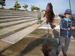 神戸空港、ガシラなど好調
