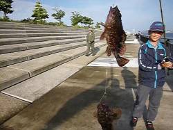 神戸空港、ガシラなど好調 
