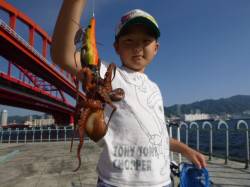 北公園　タコなど釣れています