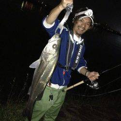 紀ノ川河口で72cmのシーバス2本GET!