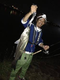 紀ノ川河口で72cmのシーバス2本ＧＥＴ！…