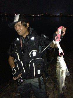 紀ノ川河口で72cmのシーバス2本GET!