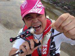 紀ノ川河口アジングでアジとサバ！