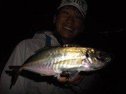 美味“メクリアジ”『和田防アジング』