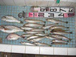 和田防最新情報