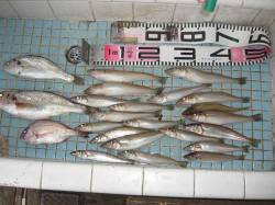 和田防最新情報