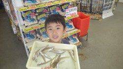 みなべ浜にてお子様が投げ釣り　キス大漁です♪