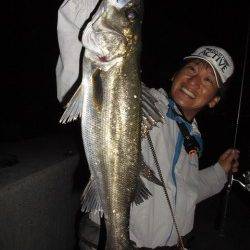 美味“メクリアジ”『和田防アジング』