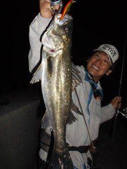 美味“メクリアジ”『和田防アジング』