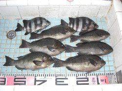 和田防最新情報