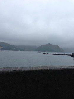 音海大波止、サビキで夕食のおかずゲット