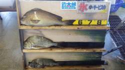 天神崎、フカセで自己記録更新の釣果☆