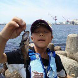 本荘人工島、穴釣りで色々釣れて楽しめました！