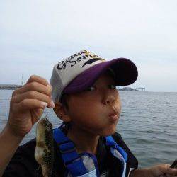 本荘人口島　穴釣りでメバル・アイナメ・ベラなど