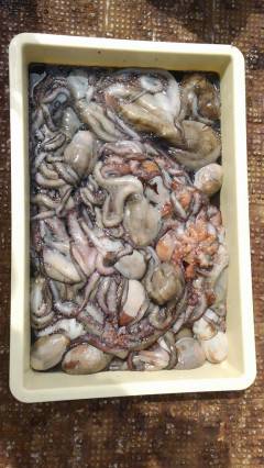 岸和田一文字　タコの数釣り継続中☆