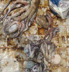 岸和田一文字　今日もタコ絶好調☆