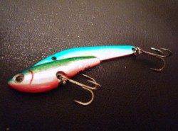 シーバス・デイゲーム　プレート系ルアーでHIT！