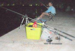 新浜漁港でサビキでアジ・ガシラ&ちょい投げで穴子