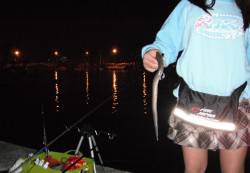 新浜漁港でサビキでアジ・ガシラ&ち…