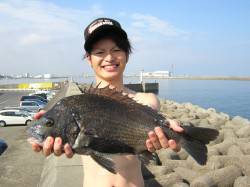 岸和田　フカセ釣りで同行の友人がチヌ46c…