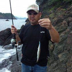 湯浅周辺の地磯、ジグでカマスが入れ食い！