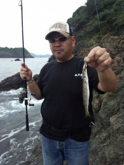 湯浅周辺の地磯、ジグでカマスが入れ食い！