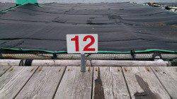 白浜の筏　チヌ・キビレ・タイなどの釣果　ラスト1投で年無し☆